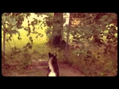 Nishka  (Created with Magisto)