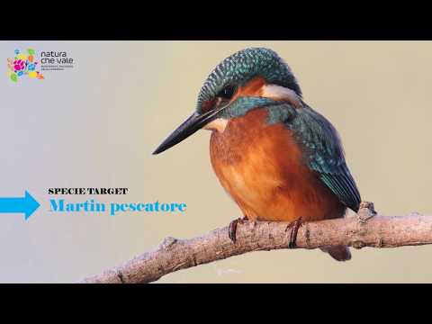 API 22 Galliavola e Pieve del Cairo