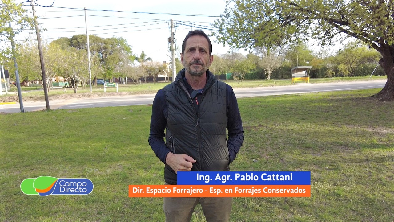 Campo Directo | Materia seca, un dato indiscutible a la hora de planear estrategias