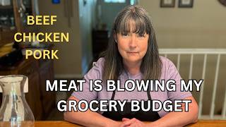 The Cost of Meat is So Expensive! Feeding a Family of Four on a Budget!