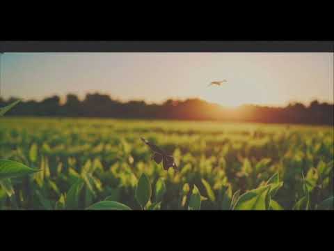Growvyn