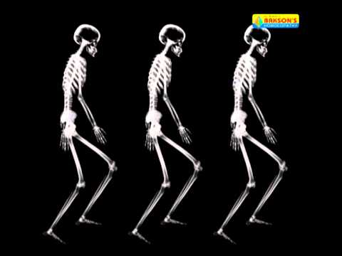 Backsons Rheum Aid Gel