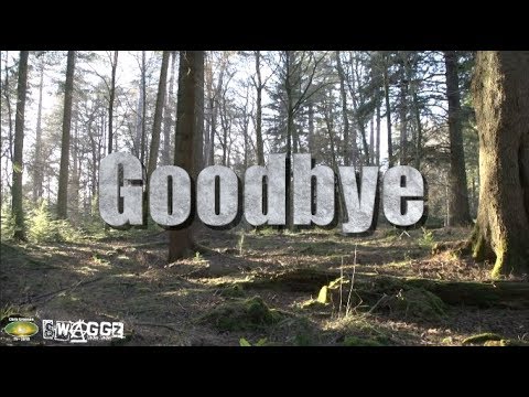 Swaggz Goodbye