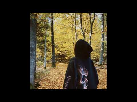 [FREE] nothing,nowhere x hot mulligan x emo rock "following" type beat (prod. cxrter x retz)