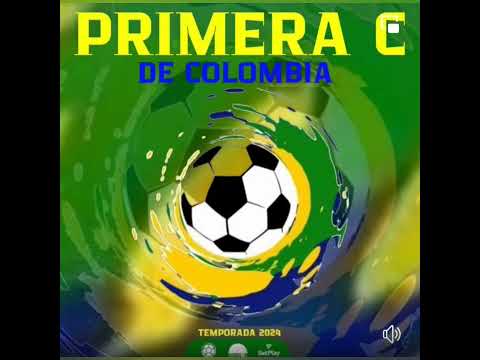 Grupos de la  Primera C 2024