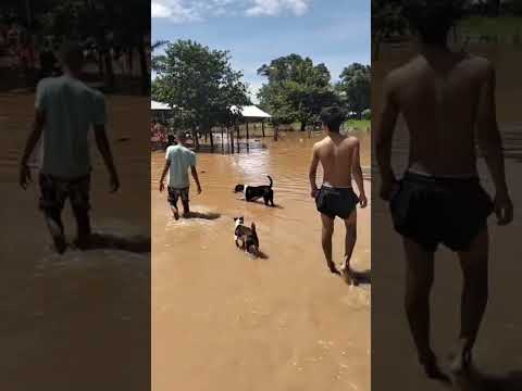 La vereda El Boral de #Pore registra inundaciones por creciente del río Guachiría
