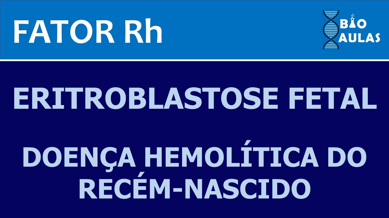 Eritroblastose Fetal l Doença Hemolítica do Recém-nascido (Fator Rh) - Bio Aulas