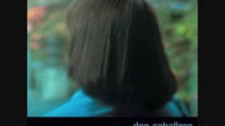 Don Caballero--I Never Liked You