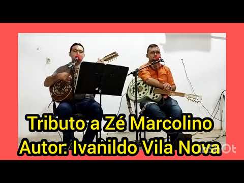 TRIBUTO A ZÉ MARCOLINO.