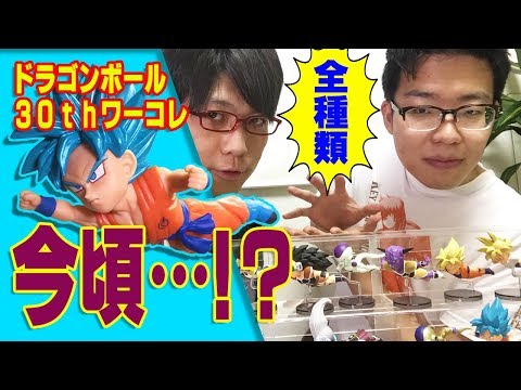 【 背表紙風 】 ドラゴンボール ワーコレを眺める回！ 祝30周年☆ Video