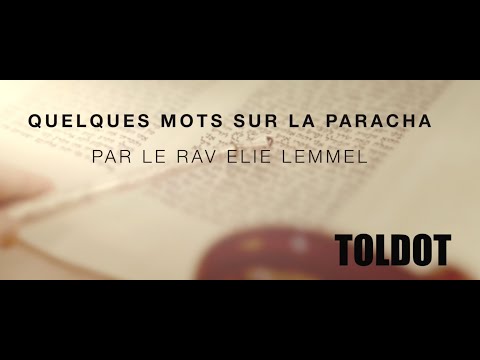Le jour où Ésaü est enfin devenu lui-même ?! Rav Élie Lemmel - Parasha Toldot