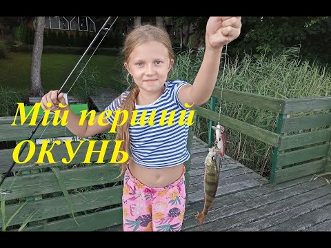 🇵🇱 Perch fishing on a forest lake. #fishing #спінінг #bass @FreeFishing-j4p