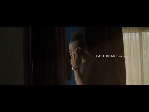 TREEZEY  _ ALLÖ ( Officiel music Video )