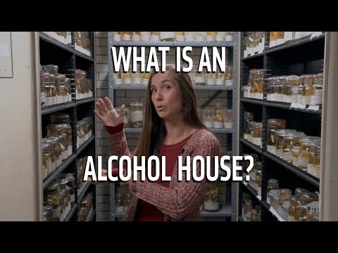 What is an Alcohol House? Ask A Scientist