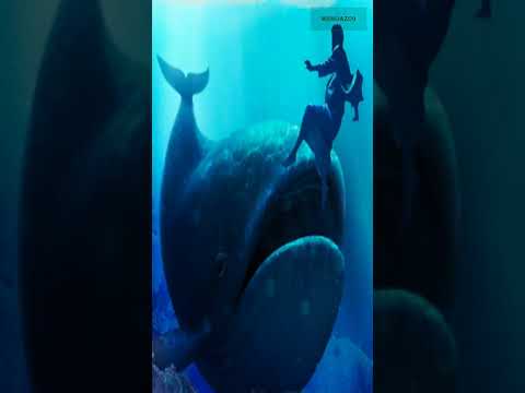 التقرّب من الله سبحانه وتعالى بالصلاة، والصيام، وا...