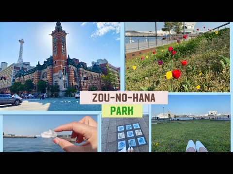 Walking around Zou-no-hana Park in Yokohama | Beautiful flower and cool air with sea sightseeing