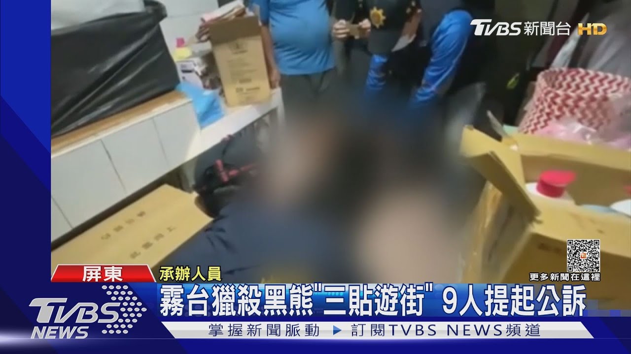 台灣黑熊被殺不只1隻!檢追出3年4隻遭殃 動保法起訴9人