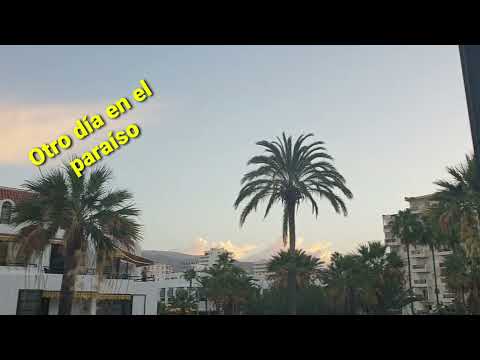 Tenerife Enero 2023. Una dia normal y perfecto.