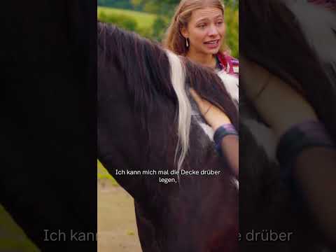 Ein widerspenstiges Pferd | Tiere bis unters Dach #shorts