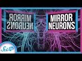 What Do Mirror Neurons Really Do