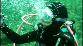 preview picture of video 'Manatee encounter while diving'