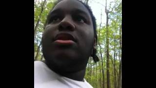 My day in the Woods 2