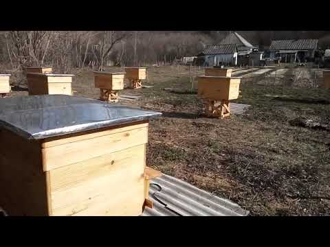 25 марта убираю рамки со склада в ульи