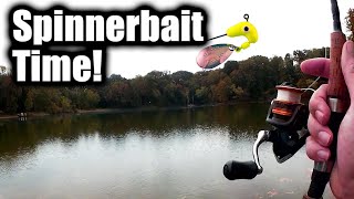 Where Has This SPINNERBAIT Been All My Life? (Bank Fishing For Bass)