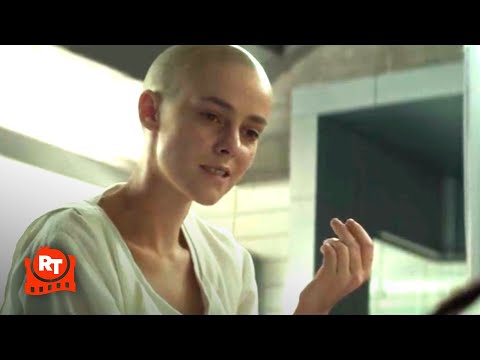 The Hunger Games: Mockingjay, Part 2 (2015) - They Messed Us Up Pretty Good Scene | Movieclips