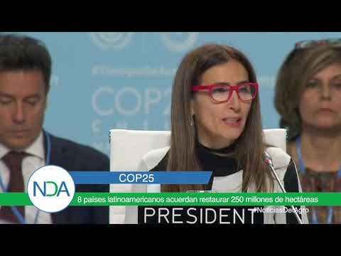 8 países latinoamericanos acuerdan restaurar 250 millones de hectáreas