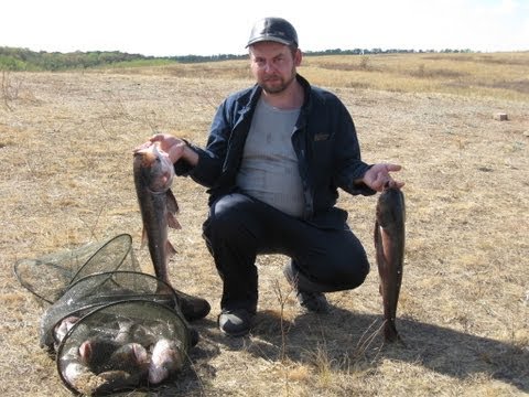 Енакиевское море рыбалка Енакиевское море рыбалка