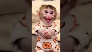 Download lagu I love you ❤️ Tom&Jerry #shorts mp3