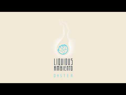 Liquidus Ambiento - Banditt - feat.:: Beto Villares