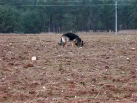 Stopa 7.3. - Free Caket