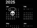 2025 WTF Shorts 2025 Memes
