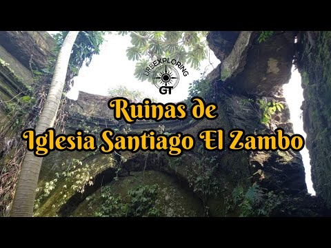 Tenemos mala suerte?? Ruinas cubiertas de maleza!!