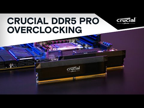 Crucial Pro DDR5-6000 16GB UDIMM: OC Gaming Memory Black Crucial Pro DDR5-6000 16GB UDIMM: OC Gaming Memory Black