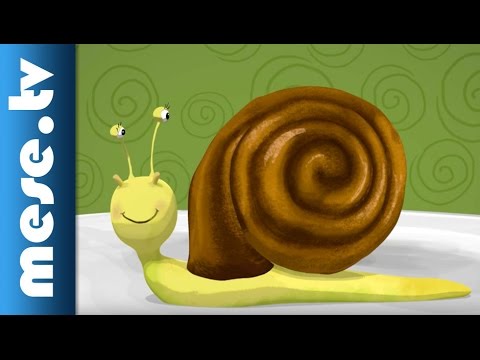 talpi szemölcsök eltávolítása gyermekeknél