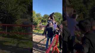 controlling the rearing horse by a beautiful lady #horseriding #horsepower #rearing