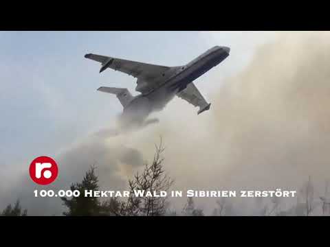 100 000 Hektar Wald in Sibirien zerstört