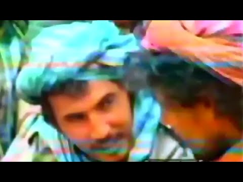 Dawood Sarkhosh New inqilabi Song