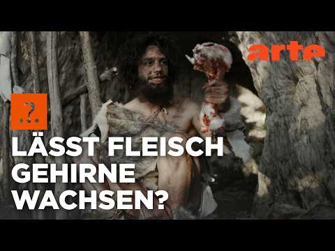 Haben wir schon immer Fleisch gegessen? | Stimmt es, dass ...? | ARTE