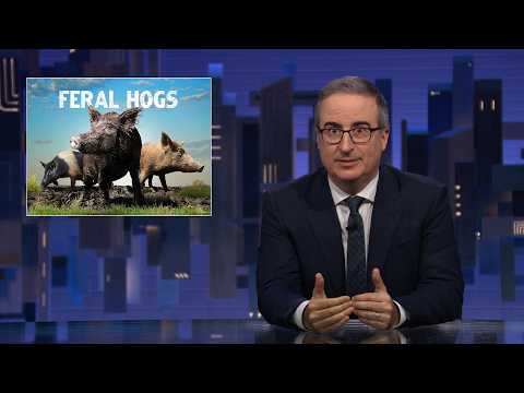 Feral Hogs: Last Week Tonight with John Oliver (HBO)