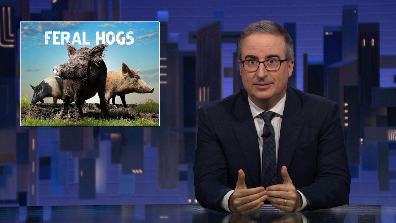 John Oliver examines the invasive feral hog problem in America