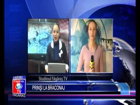 Stiri Fagaras - Prinsi la braconaj