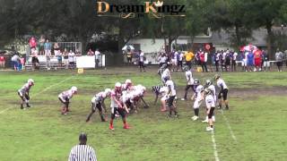 AFA SEMINOLES VS SWEETWATER EAGLES 2015 unlimited