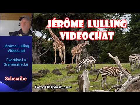 VC 93:  Artikelen a Pronomen (A1.2) + Gezei an Accessoiren (A2.1)