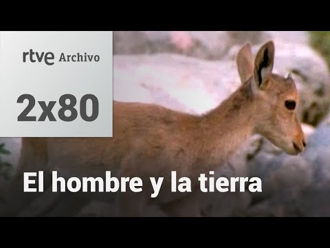 El hombre y la tierra: Capítulo 96 - Las sierras de Cazorla y Segura I | RTVE Archivo