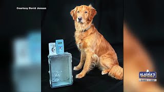 An Anchorage man is raising money to help reunite lost pets with their owners
