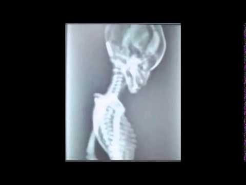 BoxTar - Alien Radio (Full Album)